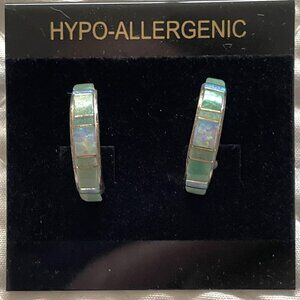 Sterling Silver Inlaid Earrings. (SK113)